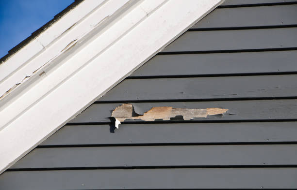 Best Residential Junk Removal  in Columbus, MT